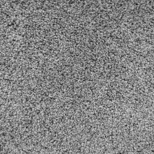 solid_carpet