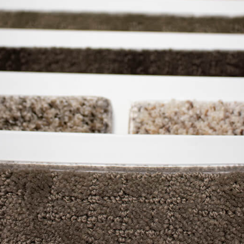 Area Rug 1