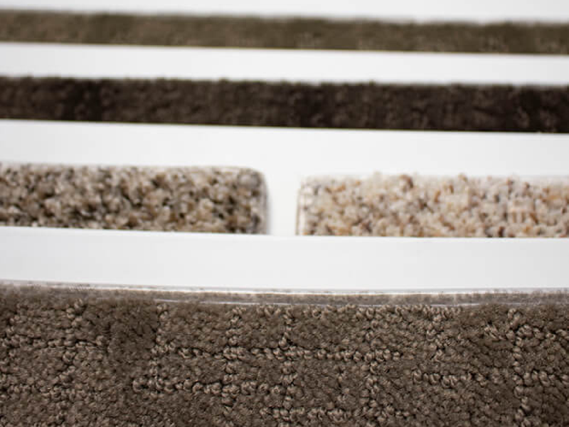 Area Rug 1